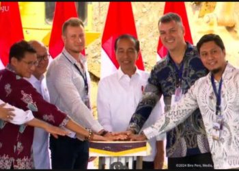 Presiden Jokowi Tarik Minat Investor Internasional ke IKN