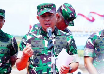 Panglima TNI Dorong Swasembada Pangan Nasional Melalui Bibit Padi Unggul Sinar Mentari