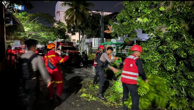 Akses Jl. APT Pranoto Balikpapan Terputus Akibat Pohon Tumbang, Brimob Lakukan Evakuasi