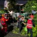Akses Jl. APT Pranoto Balikpapan Terputus Akibat Pohon Tumbang, Brimob Lakukan Evakuasi