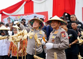 Irwasum Polri Pimpin Panen Jagung Serentak di Madiun, Wujudkan Astacita