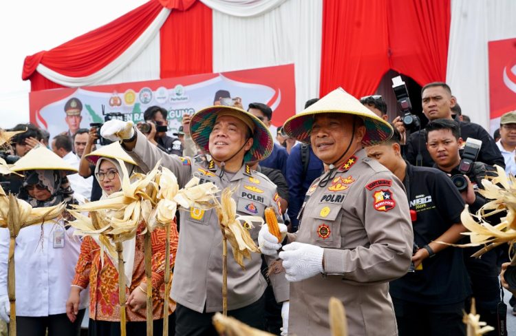 Irwasum Polri Pimpin Panen Jagung Serentak di Madiun, Wujudkan Astacita