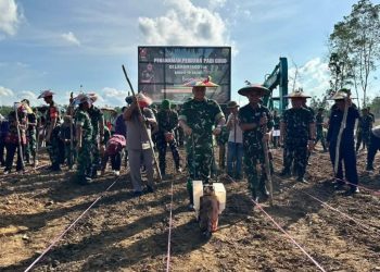 Pangdam VI/Mulawarman Tinjau Penanaman Padi Gogo di Lahan 5 Hektar di Kutai Barat