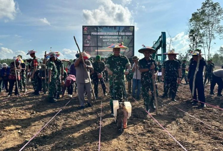Pangdam VI/Mulawarman Tinjau Penanaman Padi Gogo di Lahan 5 Hektar di Kutai Barat