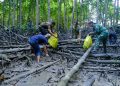 Tindak Lanjut Arahan Presiden, Pendam VI/Mlw dan Yonzipur 17/AD Bersihkan Kawasan Wisata Mangrove