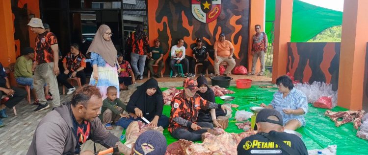 Swadaya Anggota, MPC Pemuda Pancasila Balikpapan Sembelih Tiga Sapi Kurban Tanpa Proposal