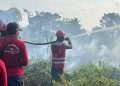 Brimob Polda Kaltim Terjang Asap dan Kobaran Api, Pimpin Garda Depan Penanganan Karhutla