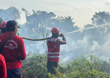 Brimob Polda Kaltim Terjang Asap dan Kobaran Api, Pimpin Garda Depan Penanganan Karhutla