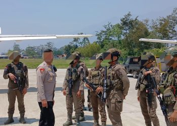 Satgas Damai Cartenz Kantongi Identitas 2 DPO Penembak 3 ASN di Jayawijaya, Terungkap Sosok PN dan KT!