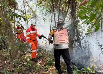 Polri Bersama Tim Gabungan Kembali Tangani Karhutla di Gunung Hapko