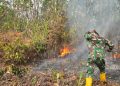 TNI Perkuat Penanganan Karhutla di Delineasi IKN, Helikopter Caracal Lakukan Water Bombing