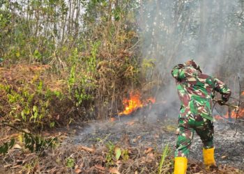 TNI Perkuat Penanganan Karhutla di Delineasi IKN, Helikopter Caracal Lakukan Water Bombing