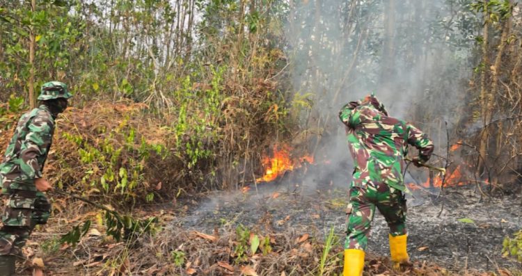 TNI Perkuat Penanganan Karhutla di Delineasi IKN, Helikopter Caracal Lakukan Water Bombing