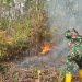 TNI Perkuat Penanganan Karhutla di Delineasi IKN, Helikopter Caracal Lakukan Water Bombing