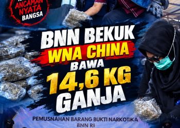 WNA China Bawa 14,6 Kg Ganja dari Bangkok, Dibekuk BNN di Soekarno-Hatta