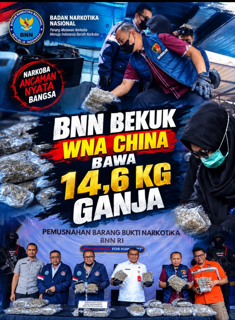 WNA China Bawa 14,6 Kg Ganja dari Bangkok, Dibekuk BNN di Soekarno-Hatta