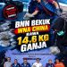 WNA China Bawa 14,6 Kg Ganja dari Bangkok, Dibekuk BNN di Soekarno-Hatta