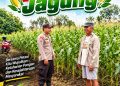 Polsek Barong Tongkok Dampingi Petani, Pertumbuhan Jagung Dipantau hingga Jelang Panen