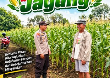 Polsek Barong Tongkok Dampingi Petani, Pertumbuhan Jagung Dipantau hingga Jelang Panen