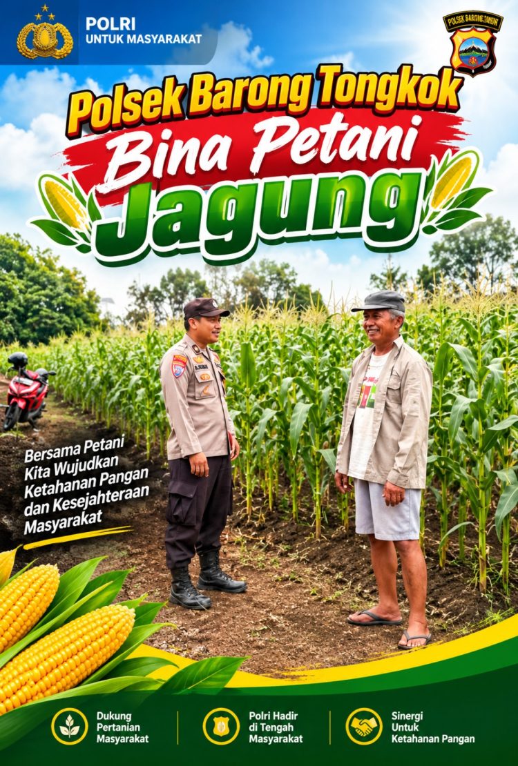 Polsek Barong Tongkok Dampingi Petani, Pertumbuhan Jagung Dipantau hingga Jelang Panen