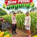 Polsek Barong Tongkok Dampingi Petani, Pertumbuhan Jagung Dipantau hingga Jelang Panen